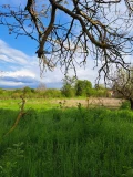 Продава КЪЩА, област Добрич, с. Медово • 24000 € • 41093468 3 — Holmes.bg Продава КЪЩА, област Добрич, с. Медово • 24000 € • 41093468 3