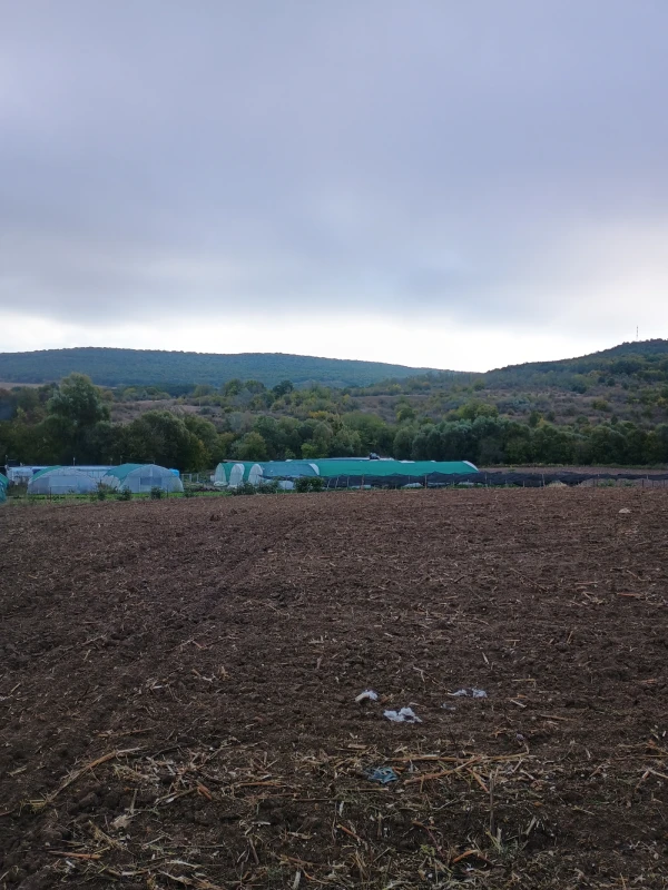 ПАРЦЕЛ, 5 000 m2 - Holmes.bg ПАРЦЕЛ, 5 000 m2