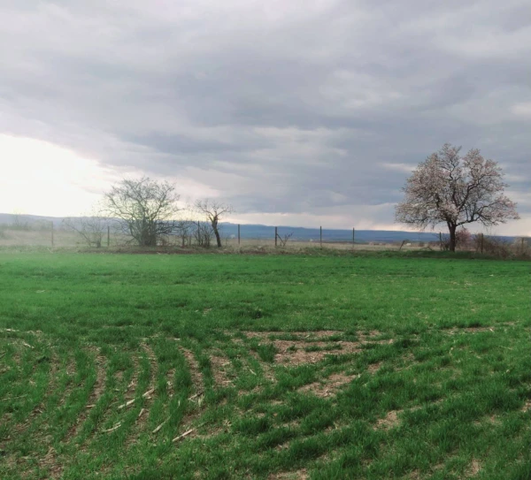 ПАРЦЕЛ, 2 280 m2 - Holmes.bg ПАРЦЕЛ, 2 280 m2