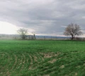 Продава ПАРЦЕЛ, област Варна, с. Кривня • 13805 € / 27000.23 лв. • 33254106 1 — Holmes.bg Продава ПАРЦЕЛ, област Варна, с. Кривня • 13805 € / 27000.23 лв. • 33254106 1