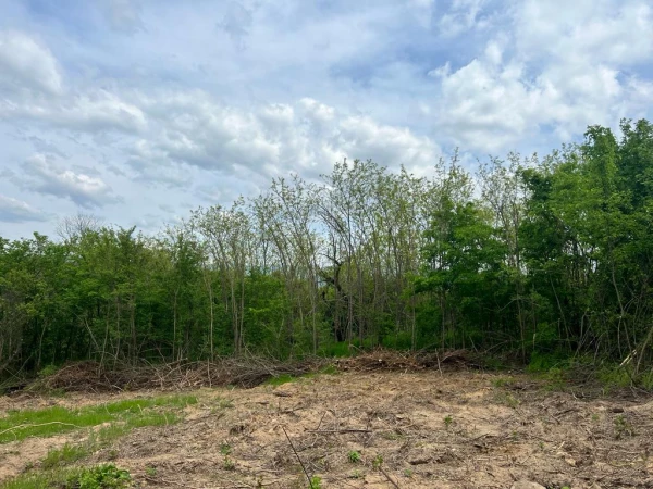 ПАРЦЕЛ, 1 664 m2 - Holmes.bg ПАРЦЕЛ, 1 664 m2