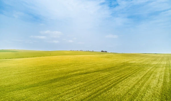 ПАРЦЕЛ, 3 080 m2 - Holmes.bg ПАРЦЕЛ, 3 080 m2