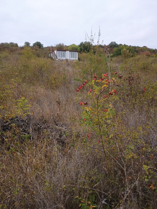 ПАРЦЕЛ, 4 553 m2 - Holmes.bg ПАРЦЕЛ, 4 553 m2