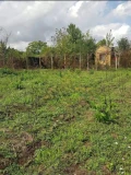 Продава КЪЩА, област Добрич, с. Дъбрава • 30000 € • 55973488 2 — Holmes.bg Продава КЪЩА, област Добрич, с. Дъбрава • 30000 € • 55973488 2
