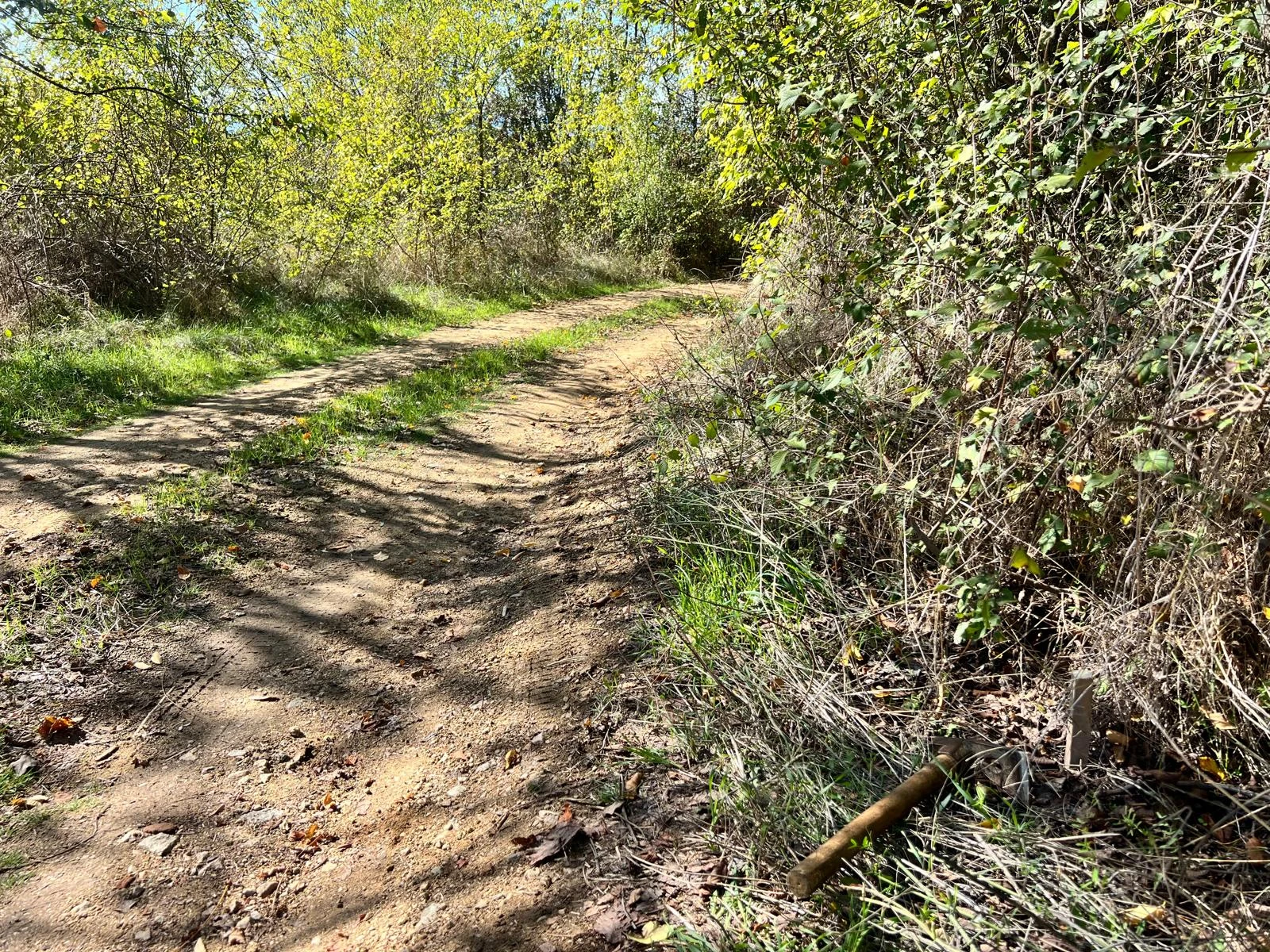 Продава ПАРЦЕЛ, област Стара Загора, с. Енина • 25000 лв. / 12782.30 € • 87048258 1