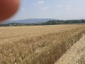 Продава ПАРЦЕЛ, град Монтана, Кошарник • 105000 лв. / 53685.65 € • 35414455 4