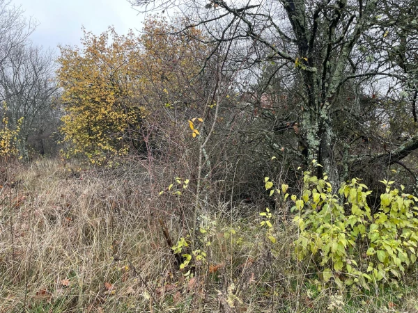 ПАРЦЕЛ, 342 m2