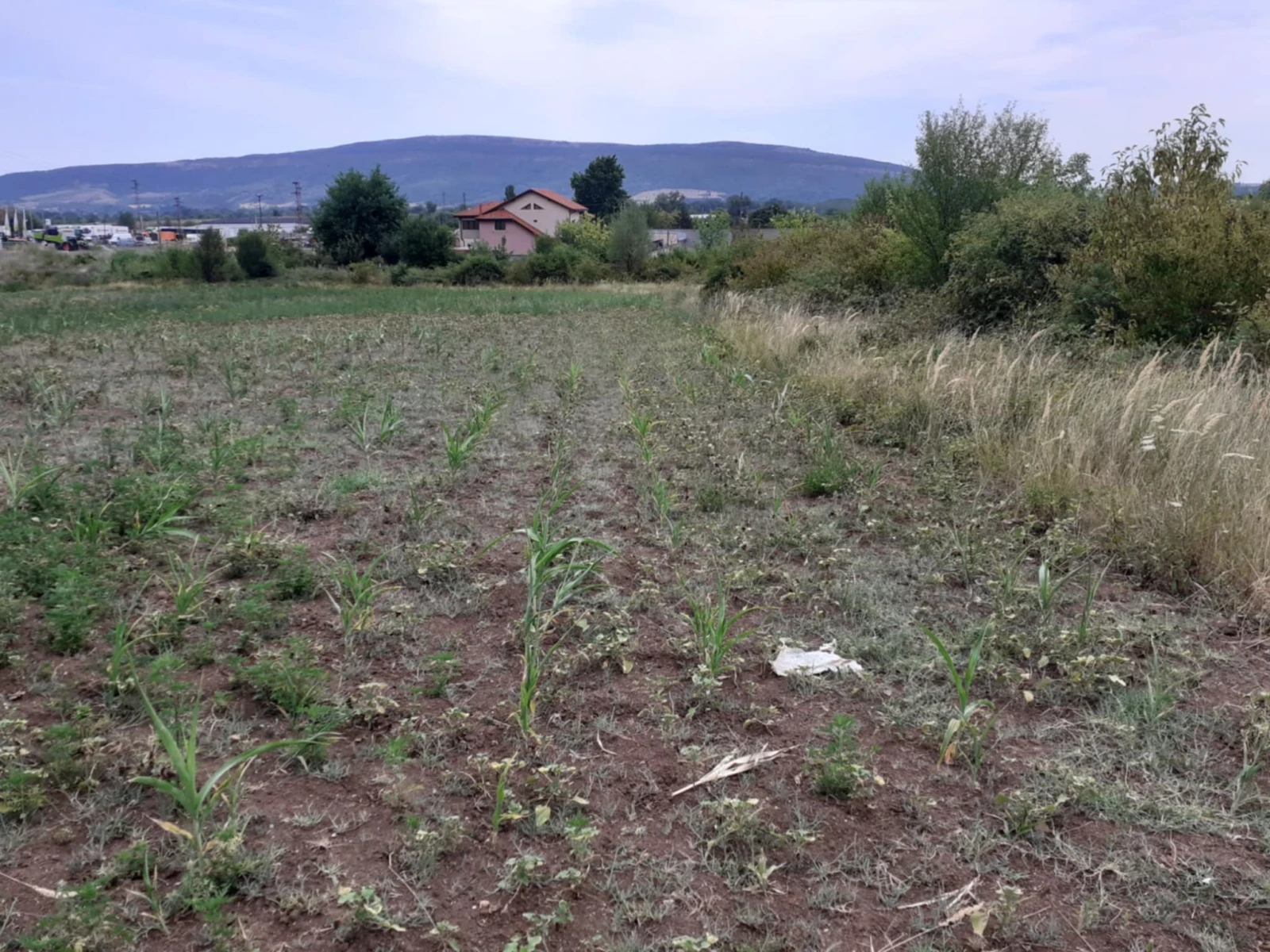 Продава ПАРЦЕЛ, град Монтана, Кошарник • 30000 лв. / 15338.76 € • 65256729 1