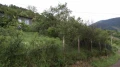 Продава ВИЛА, област София, с. Владо Тричков • 35000 € • 59422170 4