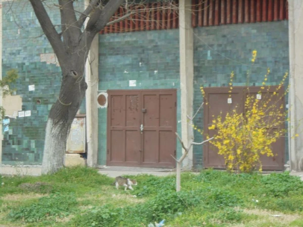 ГАРАЖ, ПАРКОМЯСТО, 21 m2