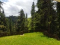 Продава 1-СТАЕН, област Смолян, к.к. Пампорово • 32800 € / 64151.22 лв. • 98260430 3