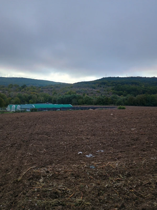 ПАРЦЕЛ, 5 000 m2