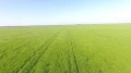 Продава ПАРЦЕЛ, област Пловдив, с. Радиново • 336000 € • 81587404 — Holmes.bg