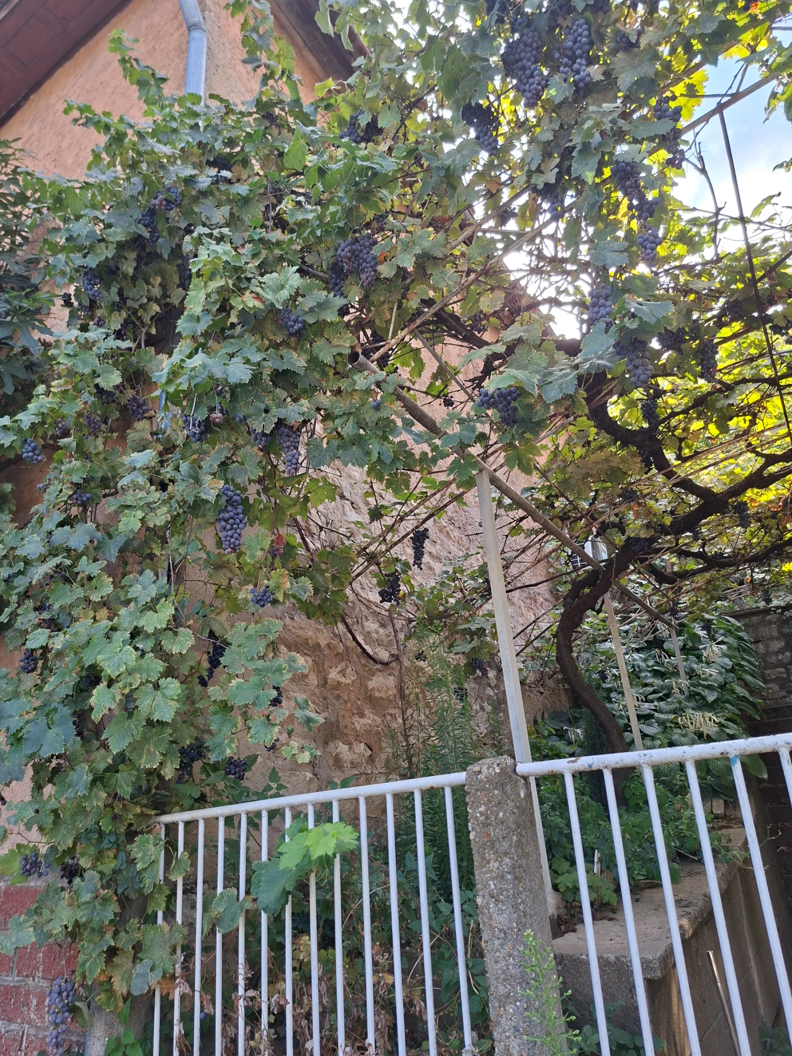 Продава КЪЩА, град Плевен, Мара Денчева • 125000 € / 244478.75 лв. • 95610335 1