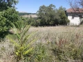 Продава ПАРЦЕЛ, област Монтана, с. Горно Церовене • 17000 € • 27003807 1