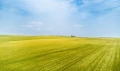 Продава ПАРЦЕЛ, област Пловдив, с. Радиново • 215000 € • 60356851 — Holmes.bg