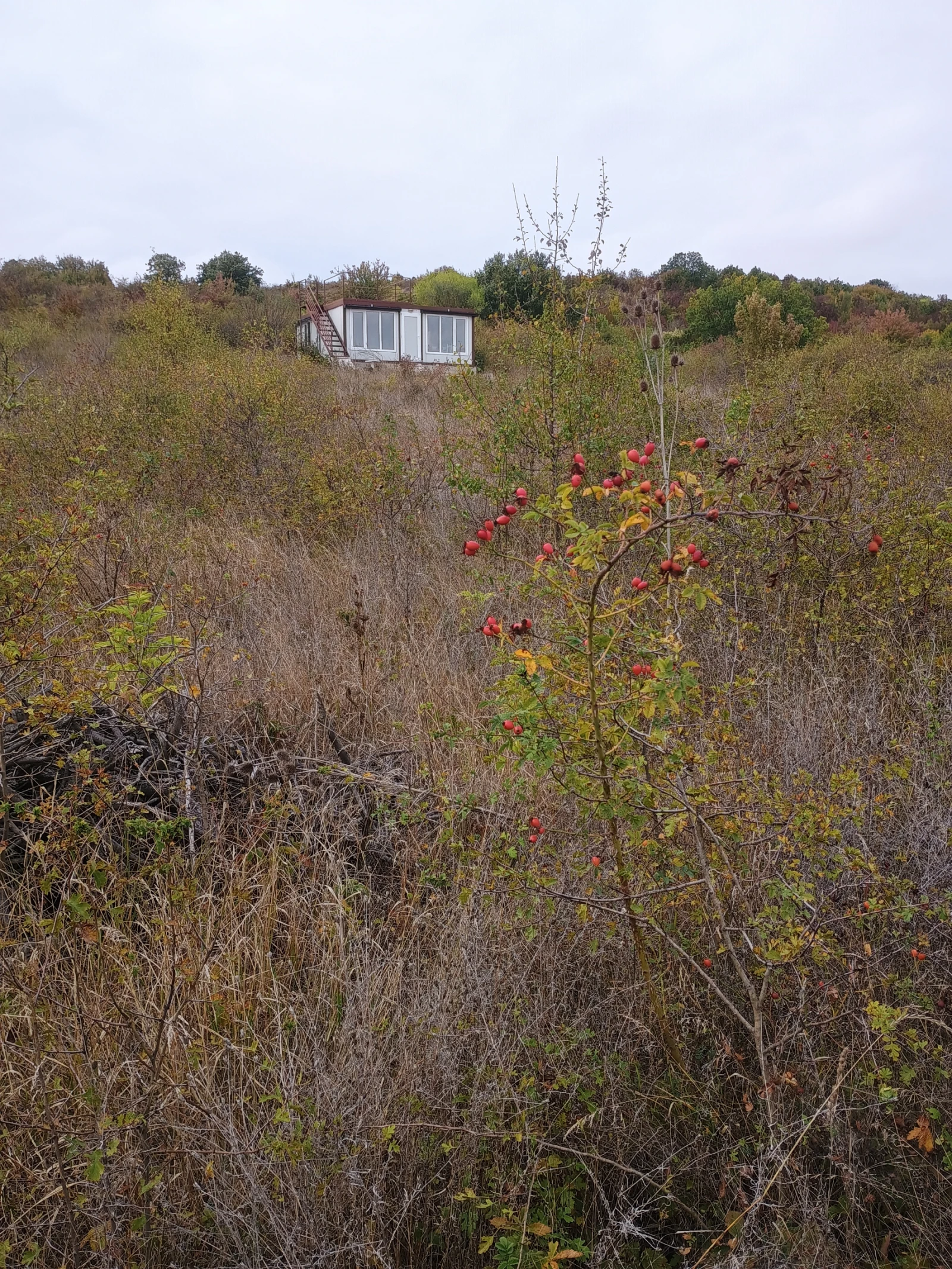 Продава ПАРЦЕЛ, област Варна, с. Осеново • 24000 € / 46939.92 лв. • 19347862 1