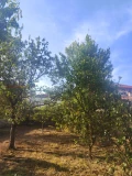 Продава КЪЩА, област София, с. Негушево • 130000 € • 43146247 — Holmes.bg