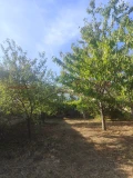 Продава КЪЩА, област София, с. Негушево • 130000 € • 43146247 — Holmes.bg