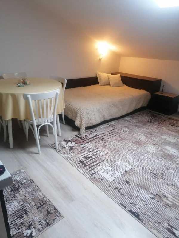 АТЕЛИЕ, ТАВАН, 20 m2